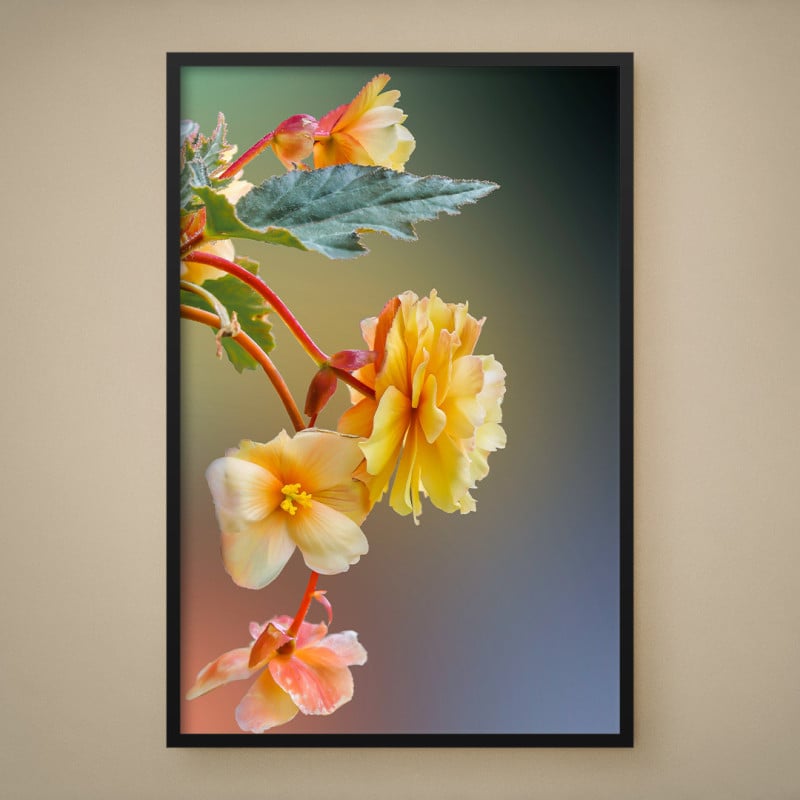 Quadro Decorativo Flores Amarelas