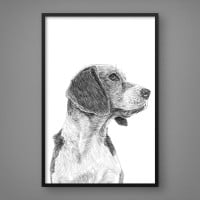 Quadro Decorativo Basset Desenhado