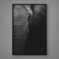 Quadro Decorativo Elefante de Perfil