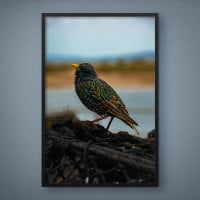 Quadro Decorativo Voo da Fênix