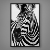 Quadro Decorativo Zebra nas Sombras