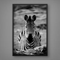 Quadro Decorativo Close na Zebra