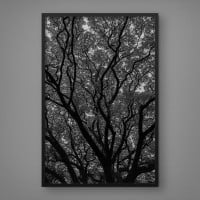 Quadro Decorativo Terra Seca