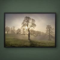 Quadro Decorativo Neblina