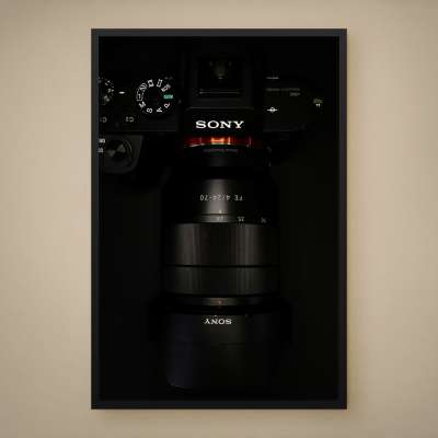 Quadro Decorativo Sony Steadyshot