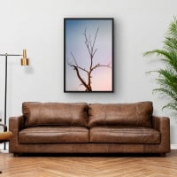 Quadro Decorativo Árvore Seca