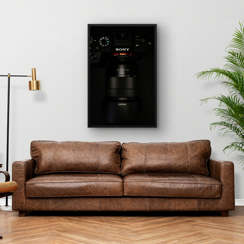 Quadro Decorativo Sony Steadyshot