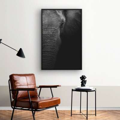 Quadro Decorativo Close no Elefante