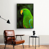 Quadro Decorativo Papagaio de Perfil