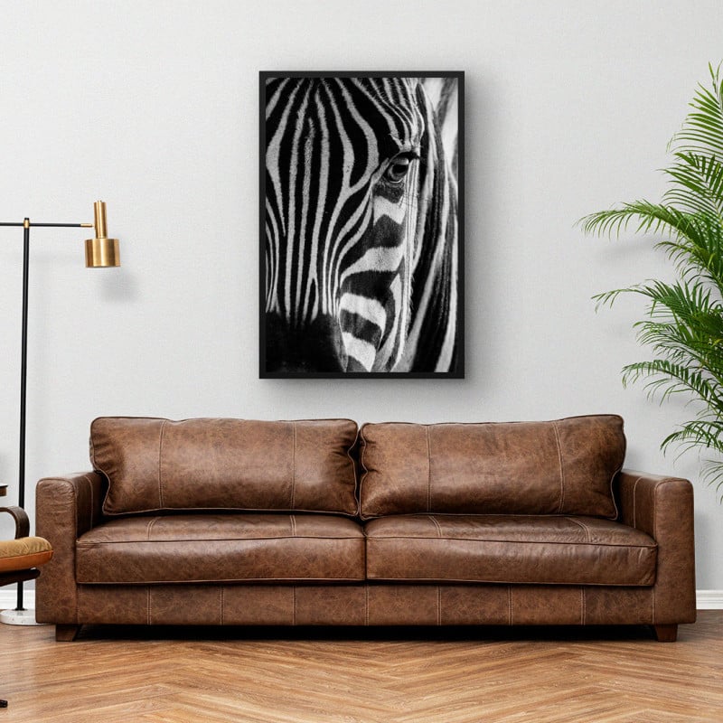 Quadro Decorativo Close na Zebra