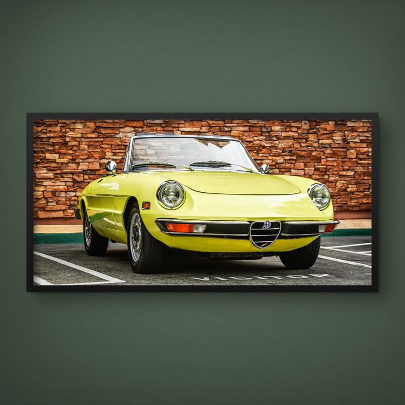 Quadro Decorativo Alfa Romeo Spider