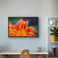 Quadro Decorativo Lírio Laranja