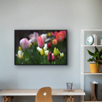 Quadro Decorativo Tulipas