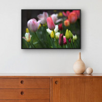 Quadro Decorativo Tulipas